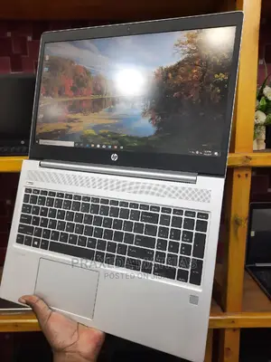 Laptop HP ProBook 450 G7 8GB Intel Core I7 HDD 500GB