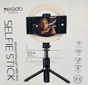 Wireless Ring Light Selfie Stick