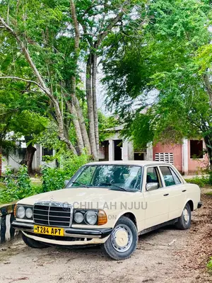 Mercedes-Benz W123 1981 Beige