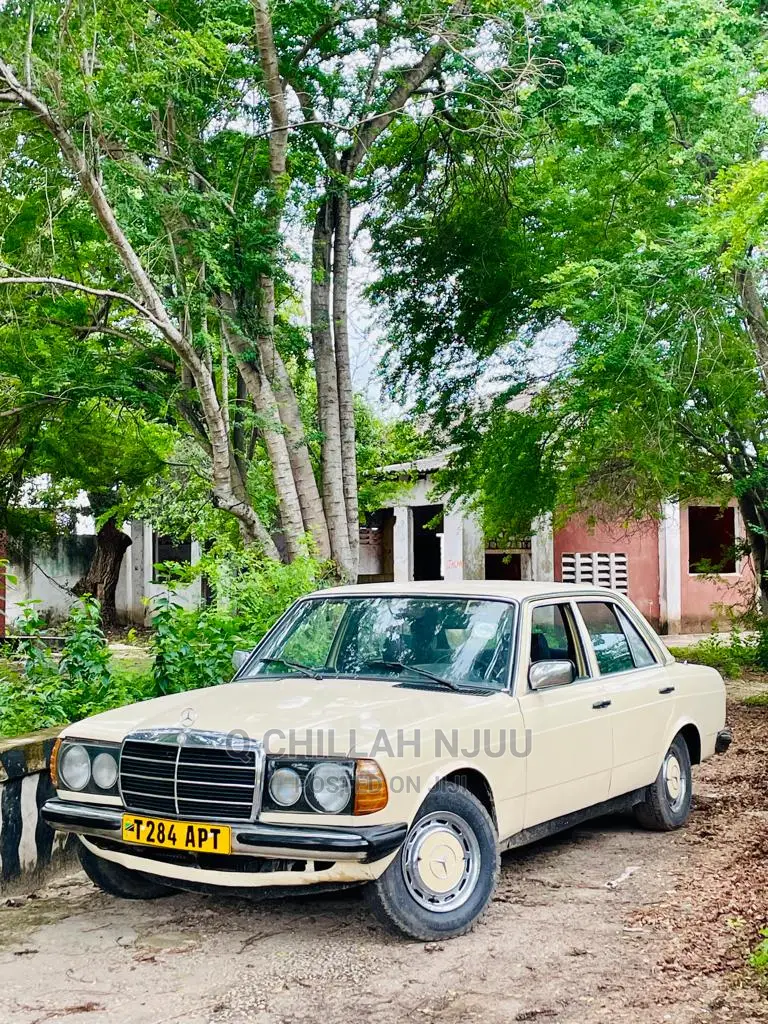 Mercedes-Benz W123 1981 Beige