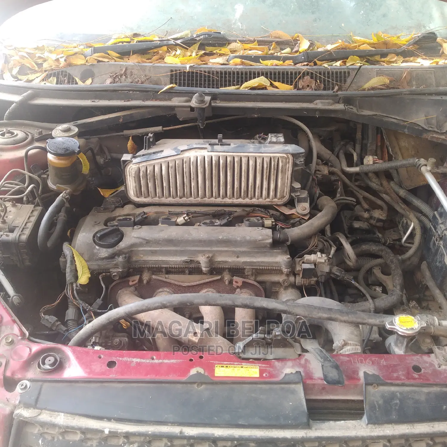 Toyota RAV4 2005 Red