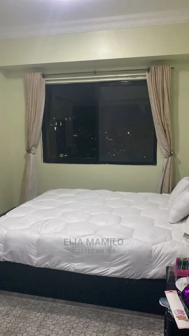Furnished 3bdrm Apartment in Upanga for rent