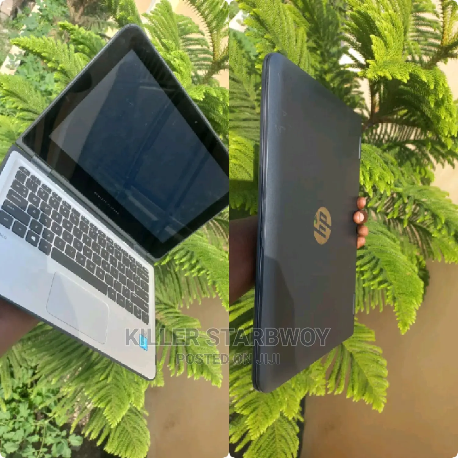Laptop HP 4GB SSD 128GB