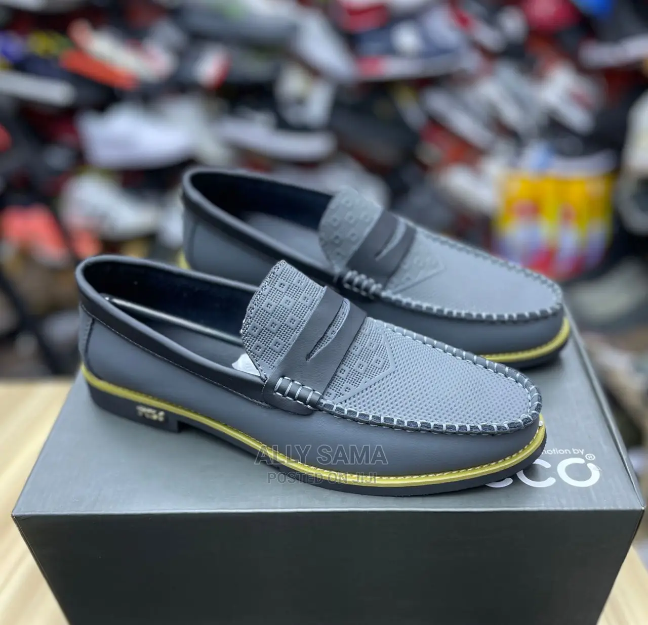 Pollo Gray