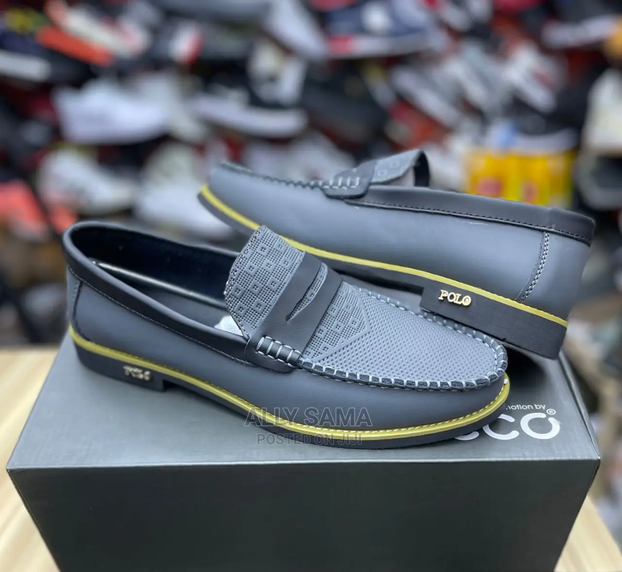Pollo Gray