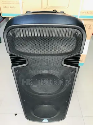 Temeisheng Rechargeable Speaker