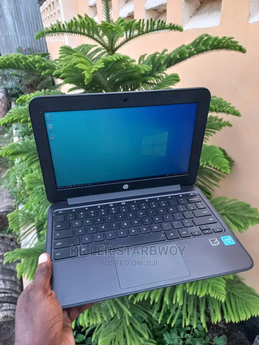 Laptop HP 4GB Intel Celeron HDD+SSD 128GB