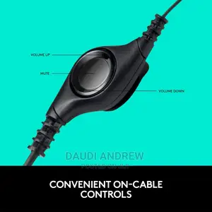 Logitech H390 Wired Headset for Pc/Laptop