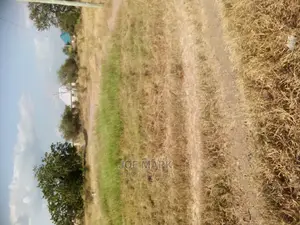 Plot for Sale at Chalinze Pwani