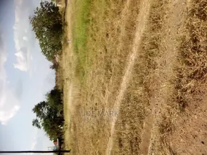 Plot for Sale at Chalinze Pwani