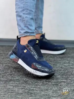 Louis Vuitton Shoes