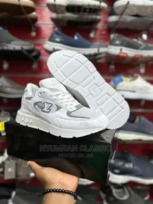 Louis Vuitton Shoes