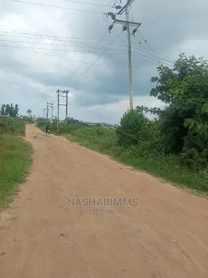 1 Acre Plot for Sale in Tanga City