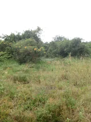Shamba Linauzwa Vigwaza