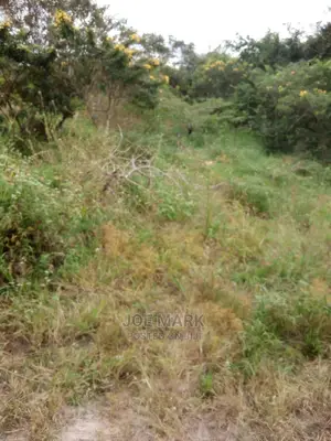 Shamba Linauzwa Vigwaza