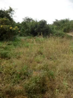 Shamba Linauzwa Vigwaza