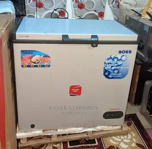 Friza Lita 200 Mpya