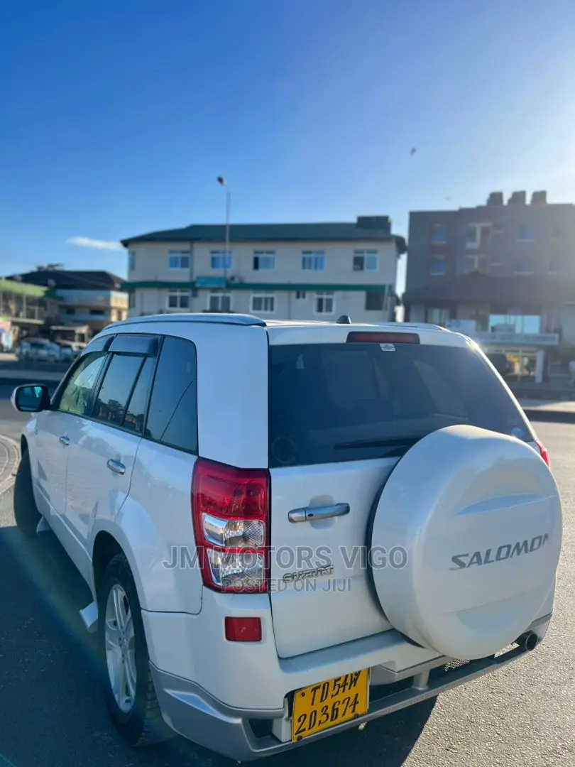 Suzuki Escudo 2006 Pearl