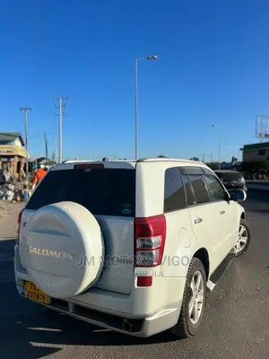 Suzuki Escudo 2006 Pearl