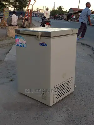 Boss Lita 100