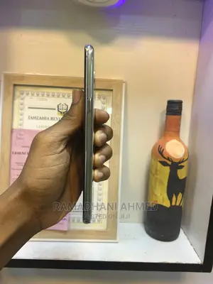 Samsung Galaxy S10 5G 256 GB Silver