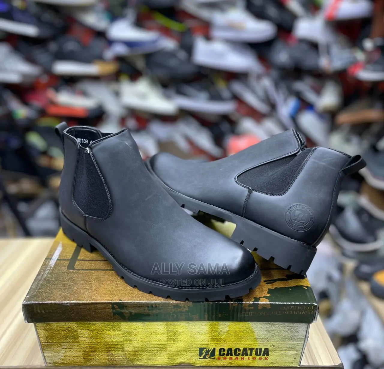 Cacatua Black
