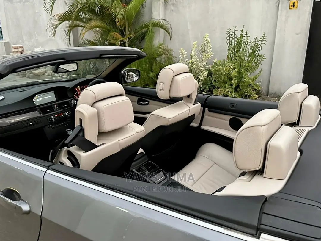 BMW 3 Series 2010 Gray
