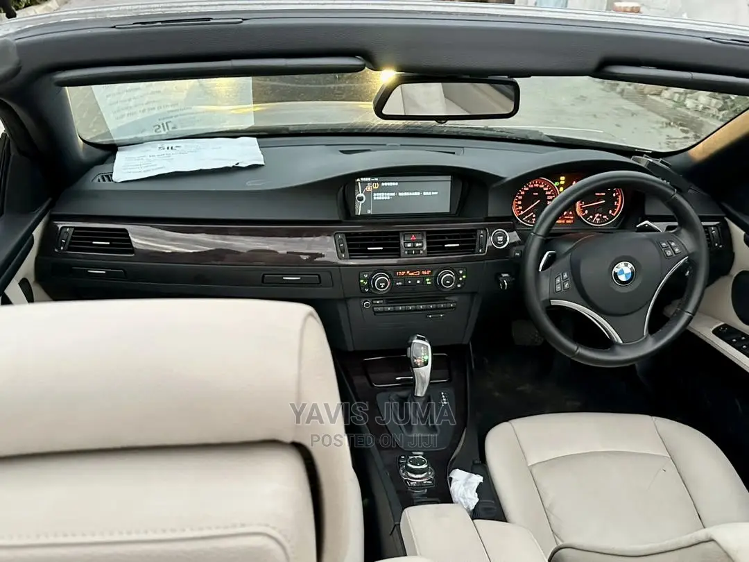 BMW 3 Series 2010 Gray