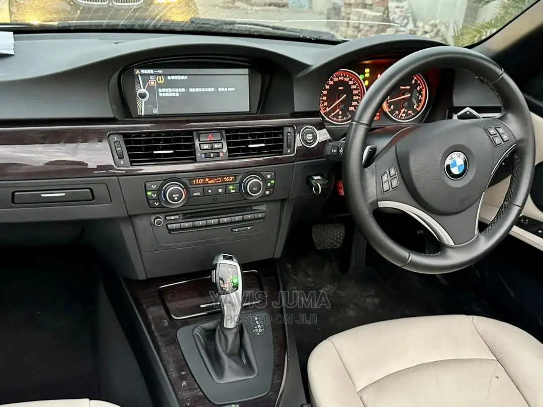 BMW 3 Series 2010 Gray