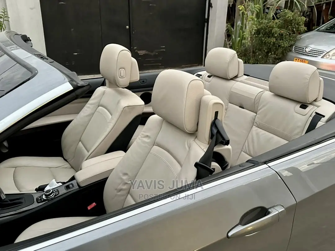 BMW 3 Series 2010 Gray