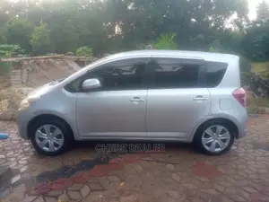 Toyota Ractis 1.3 FWD 2009 Silver