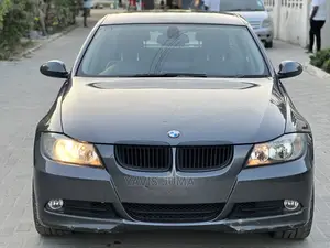 BMW 3 Series 2009 Gray