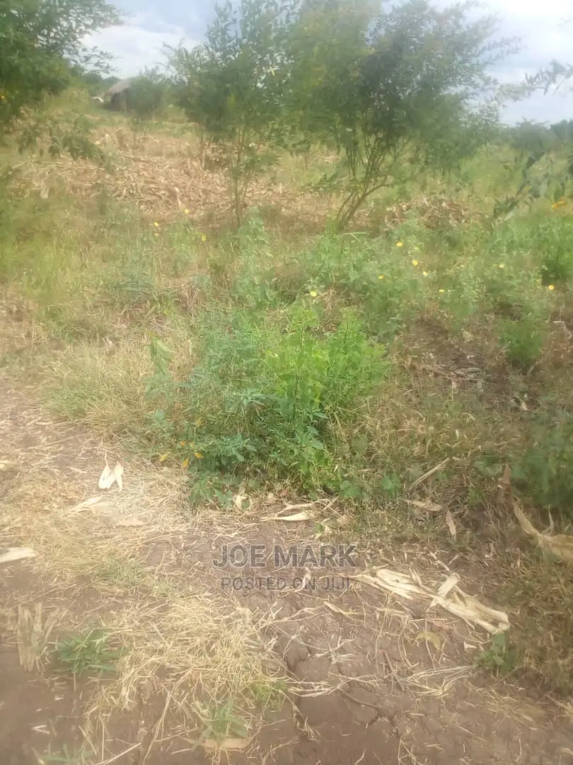 Shamba Linauzwa Bagamoyo