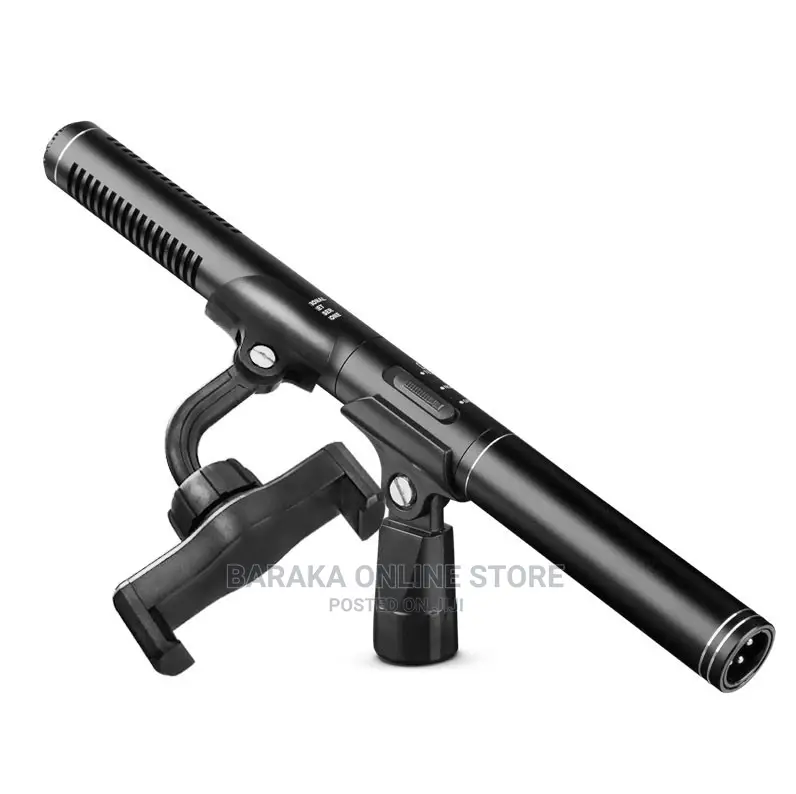 Boom Microphone
