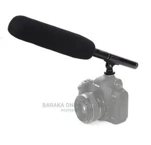 Boom Microphone