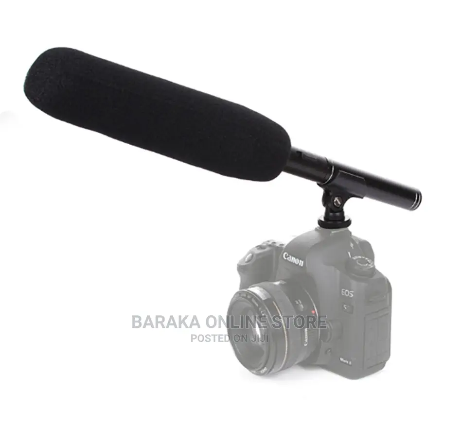 Boom Microphone