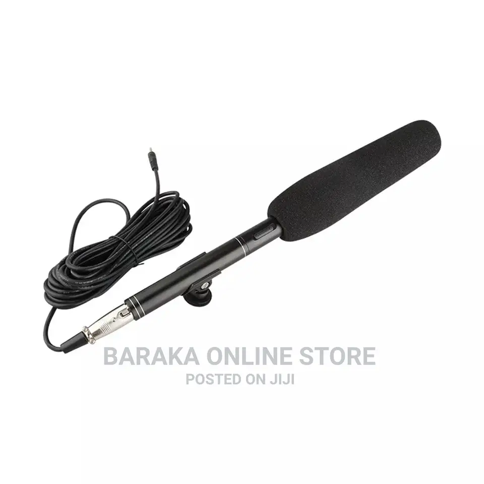 Boom Microphone