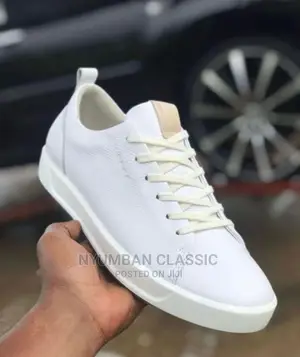 Ecco Shoes Original