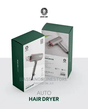 Green Lion Auto Hair Dryer