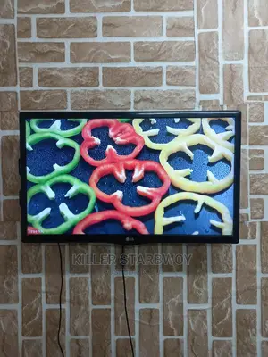 Lg Inchi 24 Original Mno