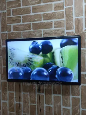 Lg Inchi 24 Original Mno