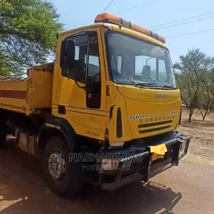 Iveco Euro Cargo Dumper Reg #. Dfu