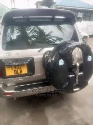 Toyota Land Cruiser 2010 Silver