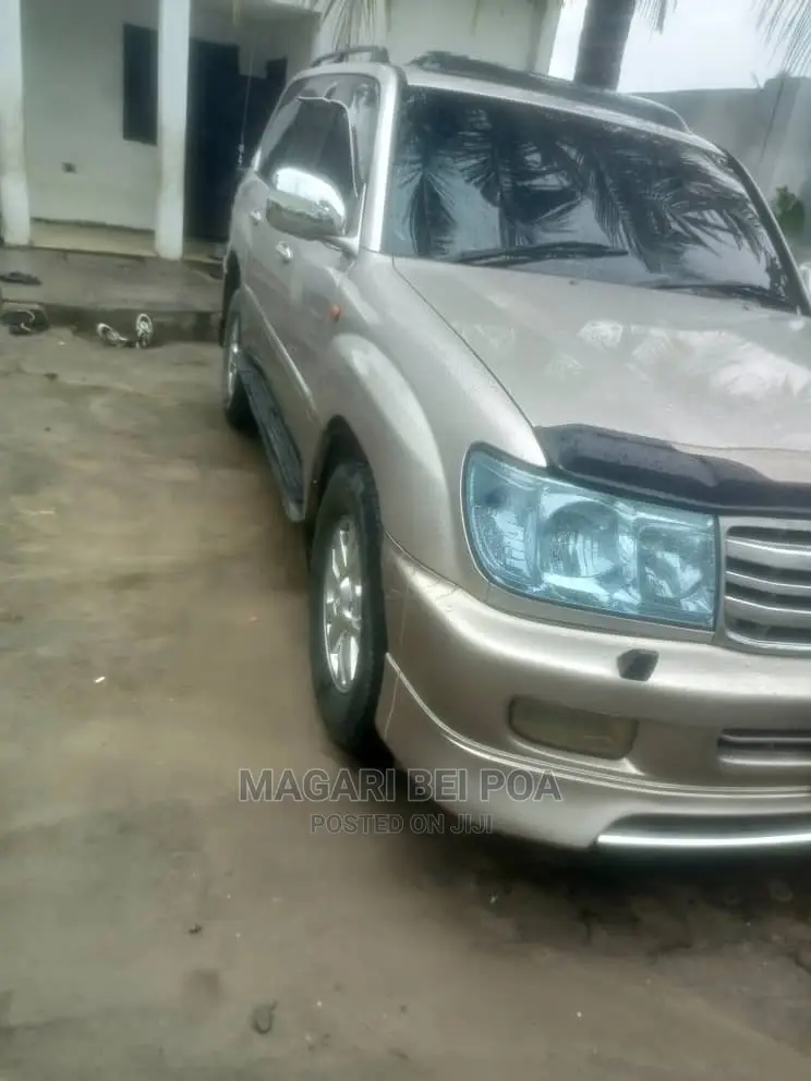 Toyota Land Cruiser 2010 Silver