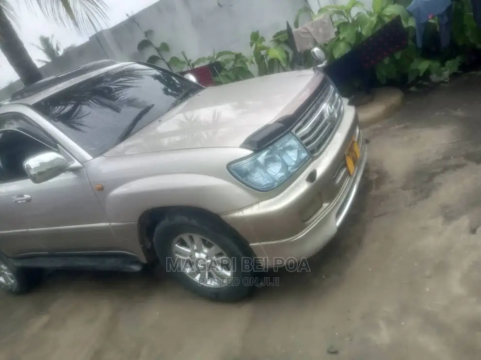 Toyota Land Cruiser 2010 Silver