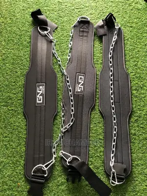 Photo - Dip Belt With Chain.