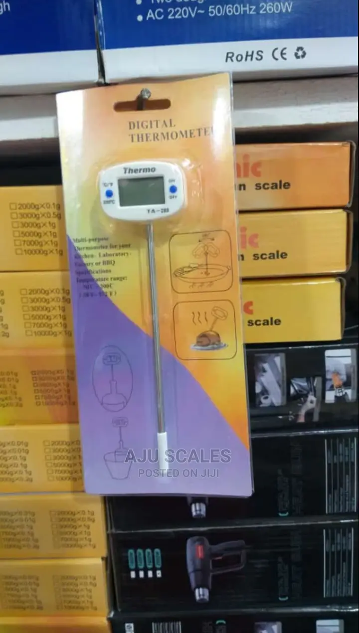 Digital Thermometer