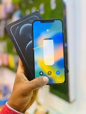 Apple iPhone 12 Pro Max 256 GB Blue