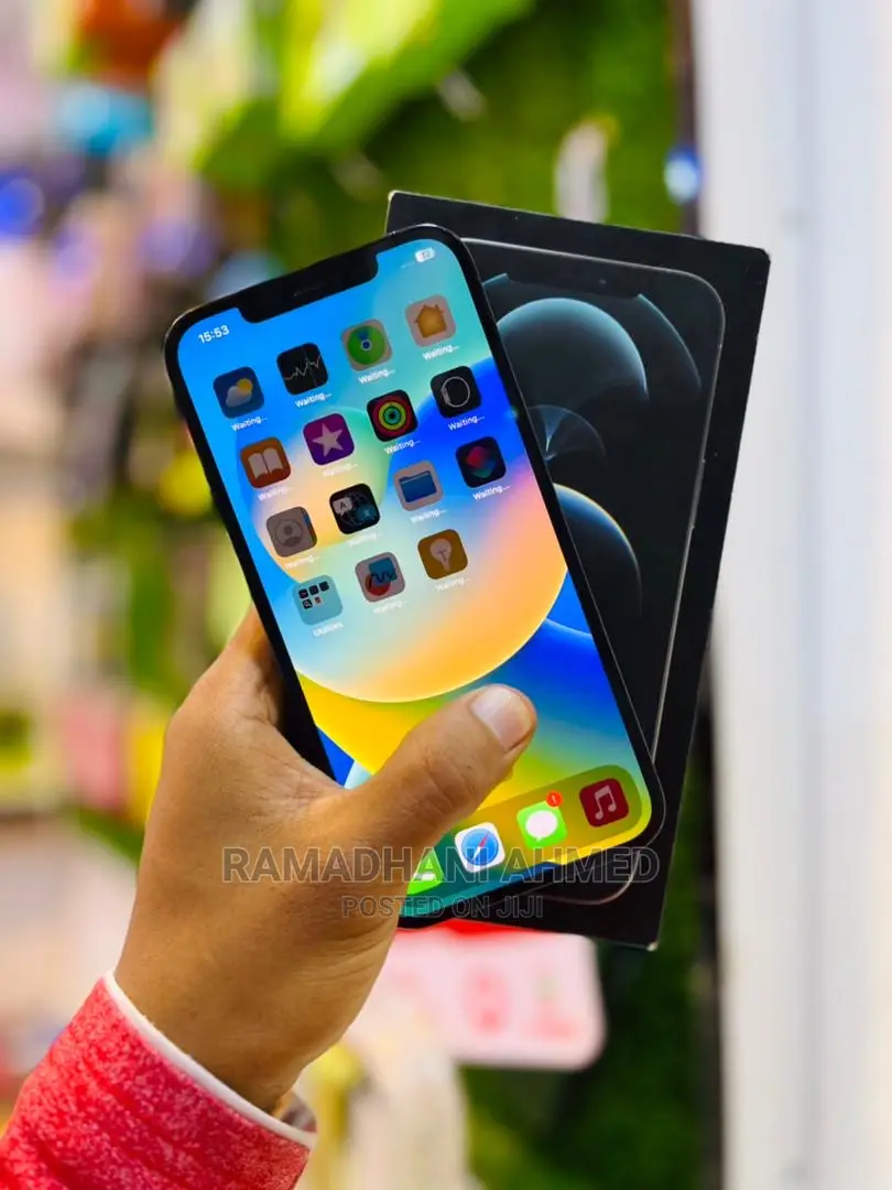 Apple iPhone 12 Pro Max 256 GB Blue
