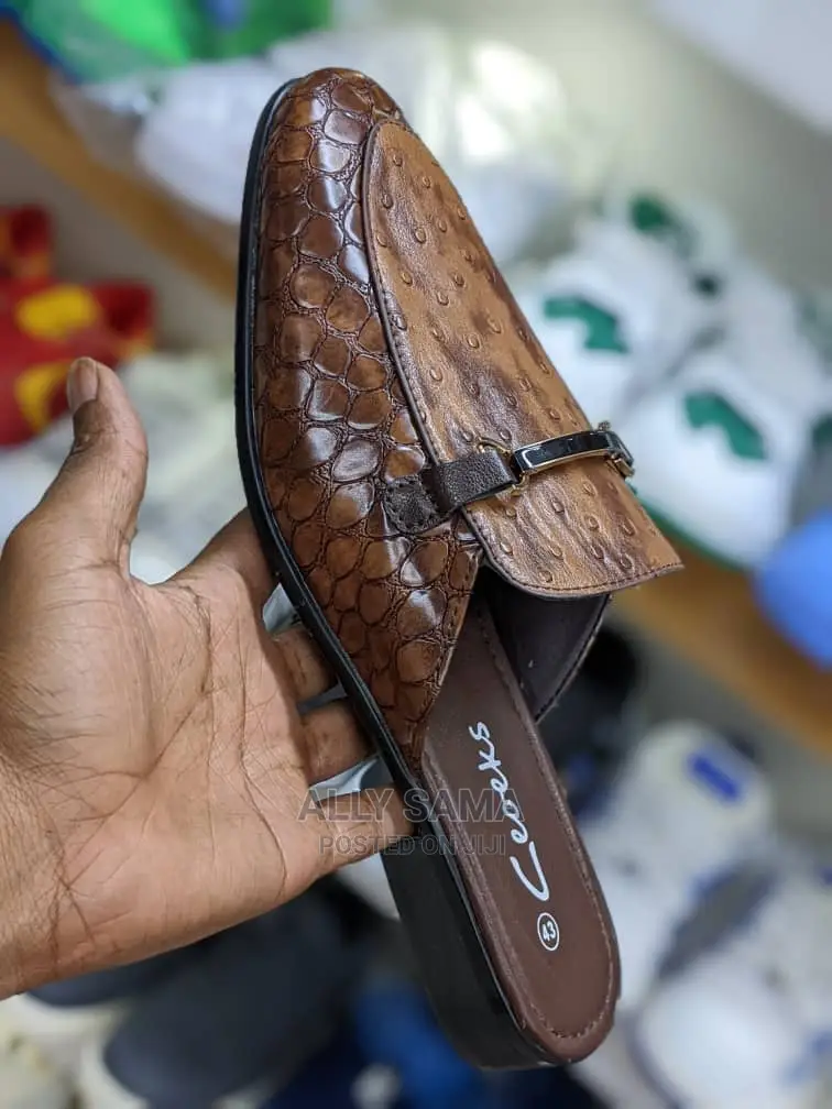 Clark's Official Brown